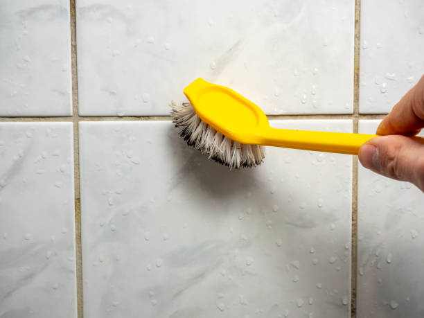 Best Same-Day Mold Removal  in Hamilton, IN