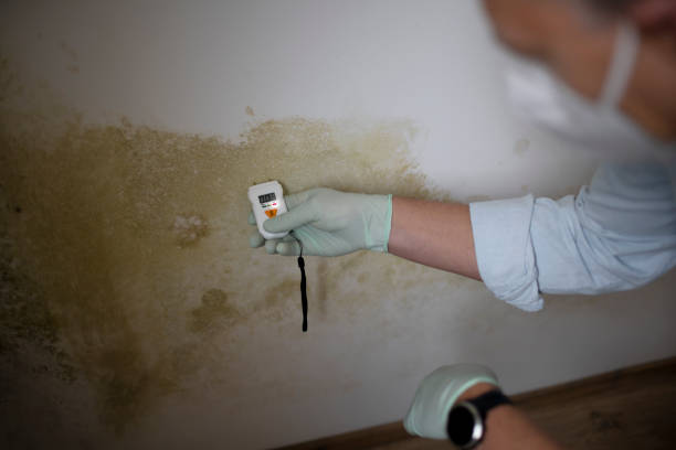 Best Mold Testing  in Hamilton, IN