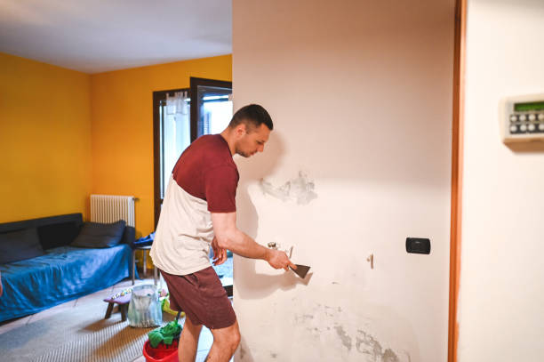 Home Mold Removal in Hamilton, IN
